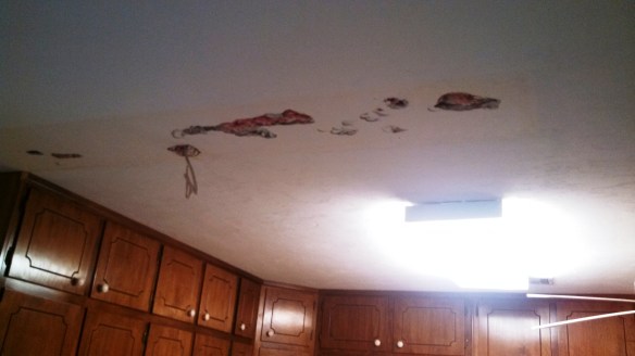 IMG_20130406_113846_152 (1)