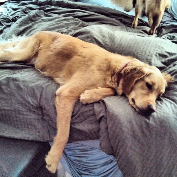 There has been a lot of this going on lately