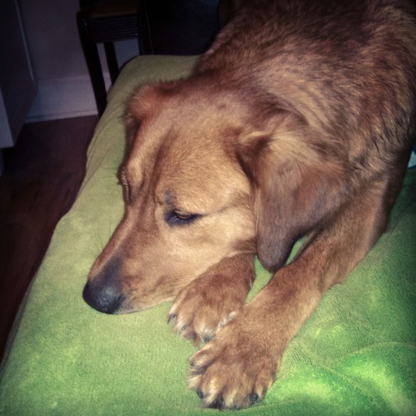 Lady waiting for snow